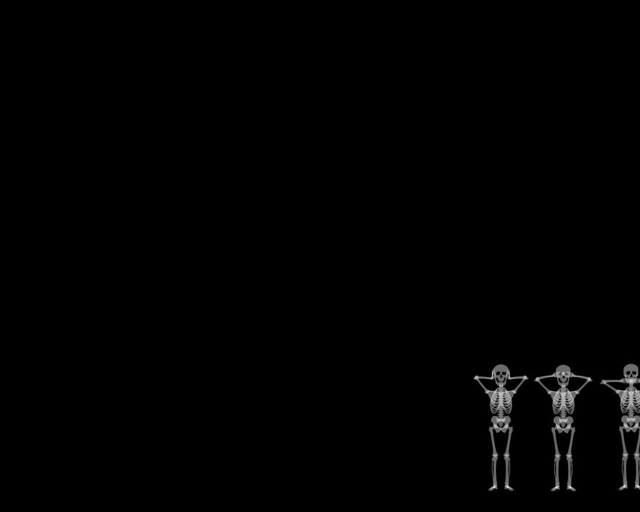 1280x1024 Free download Skeleton Background Tumblr [1680x1050] for your Desktop, Mobile & Tablet. Explore Skeleton Wallpaper Tumblr. Skeleton Wallpaper Tumblr, Skeleton Wallpaper, Skeleton Wallpaper