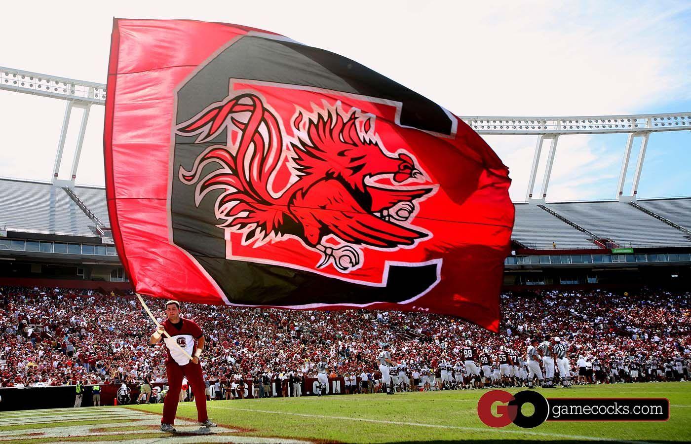 1400x900 Gamecock Desktop Wallpaper