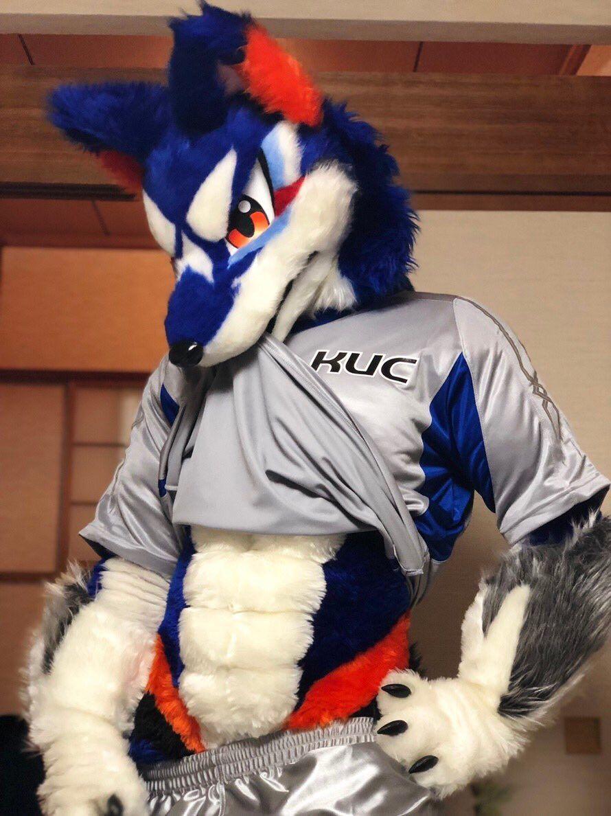 890x1188 Their Is No Reason For Your Fursuit Toeven Have A Six Pack Ah Whatever Their Is Literally No Purpose To Explaining This. Fursuit Furry, Fursuit Paws, Fursuit Yiff