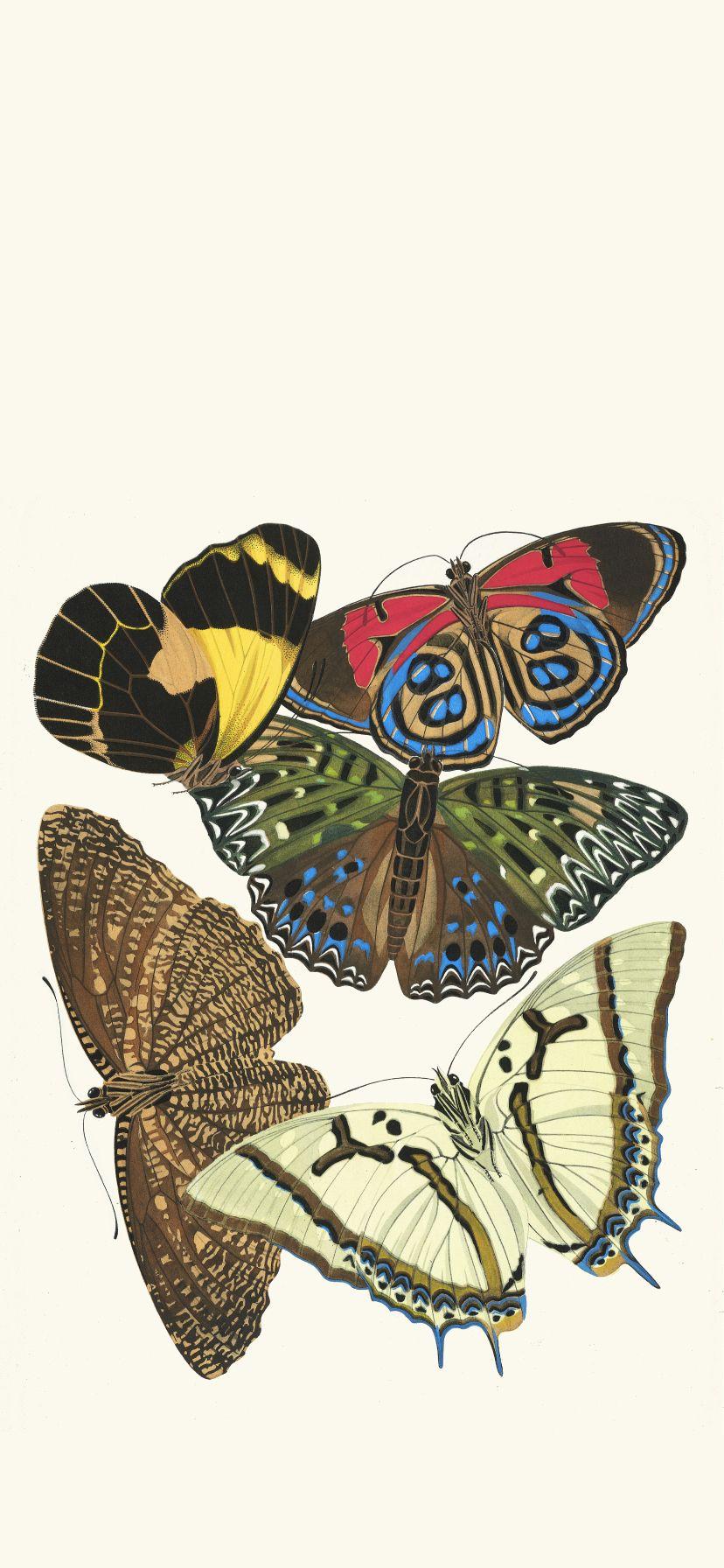 828x1792 Papillons, Pl. 12 By Emile Allain Séguy Wallpaper