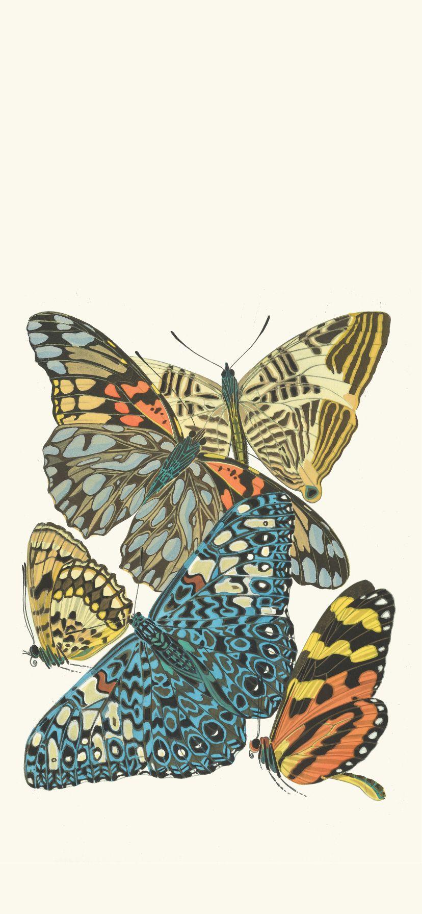 828x1792 Papillons, Pl. 3 By Emile Allain Séguy Wallpaper
