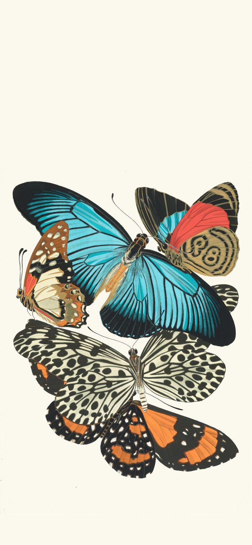 828x1792 Papillons, Pl. 11 By Emile Allain Séguy Wallpaper