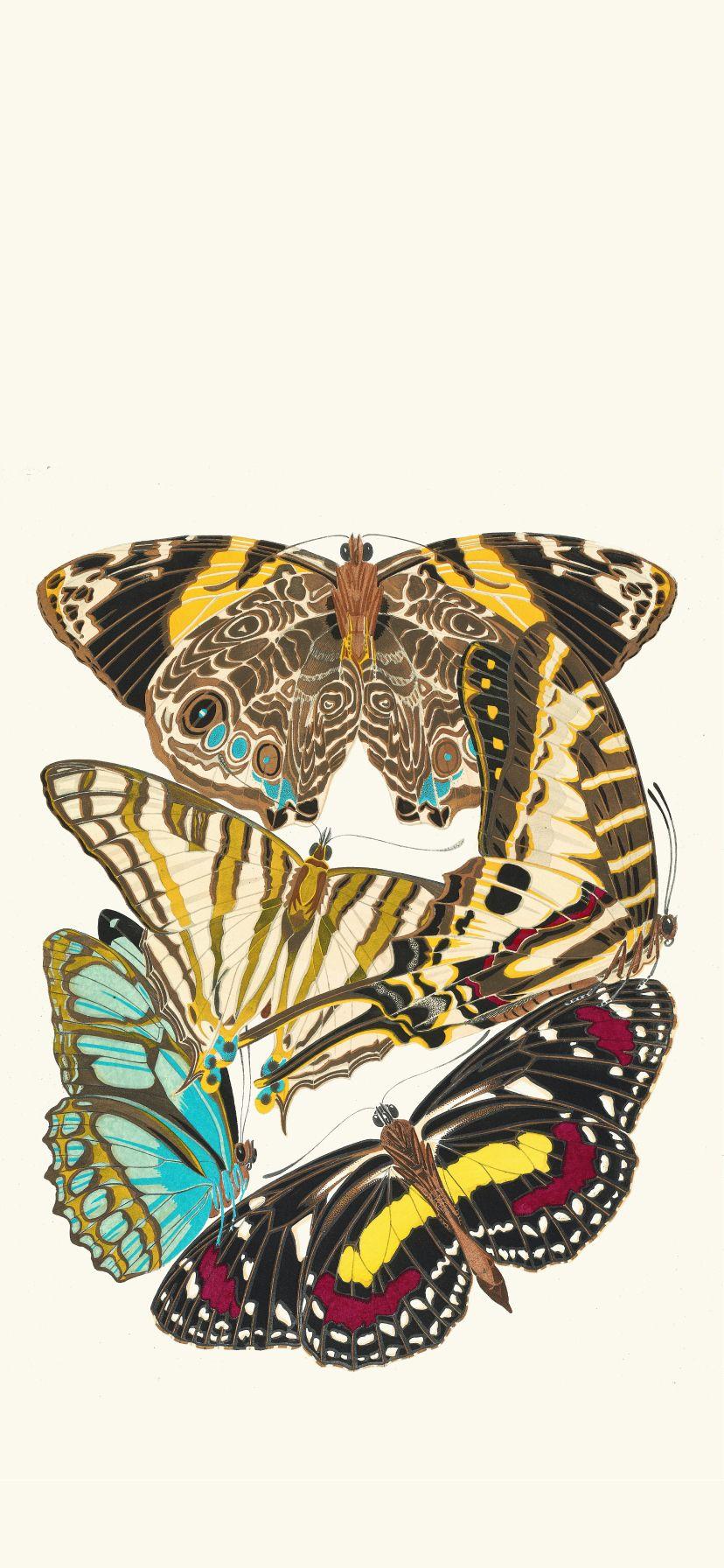 828x1792 Papillons, Pl. 5 By Emile Allain Séguy Wallpaper