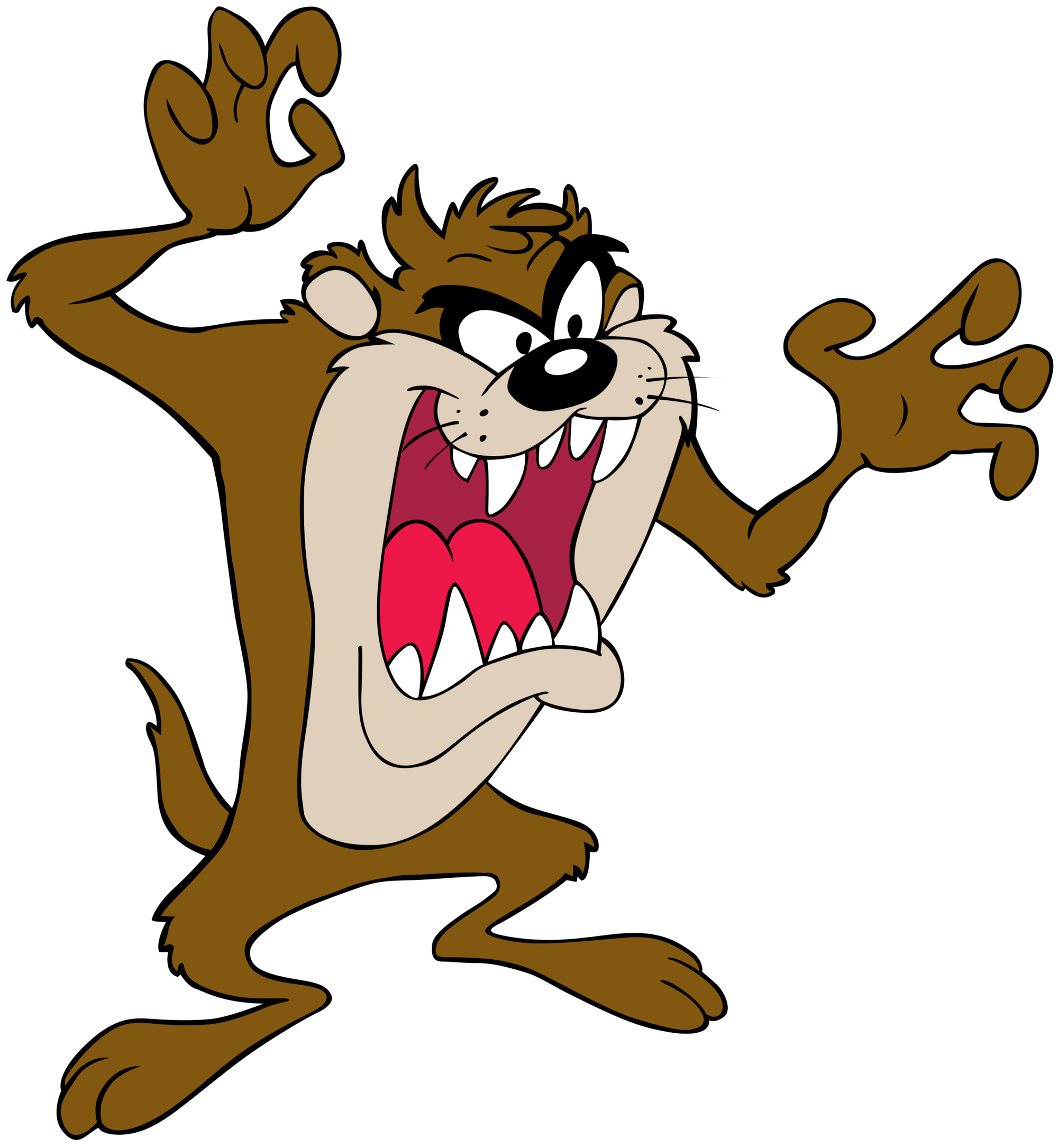 2000x2171 Tasmanian Devil Gallery