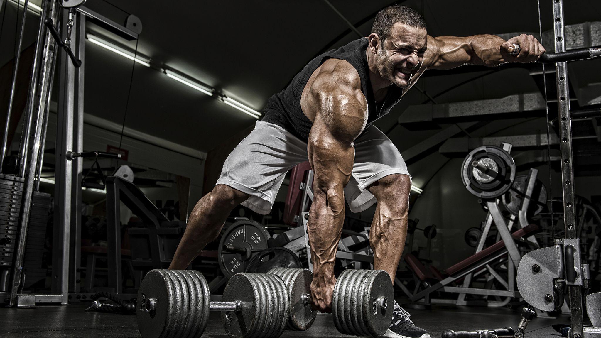 2048x1152 Fitness Equipment Wallpaper .