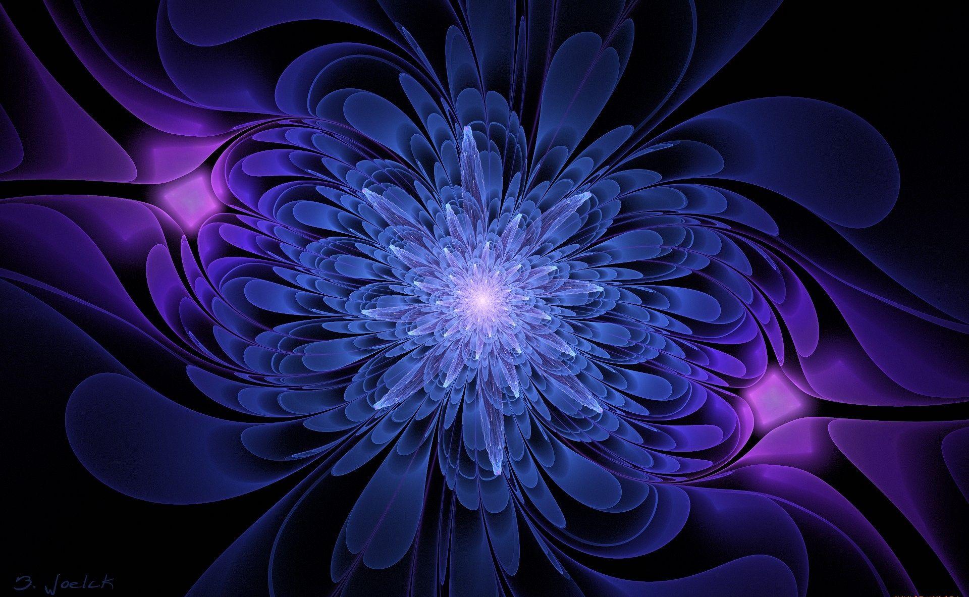 1920x1183 Wallpaper Blue And Purple Flowers Background