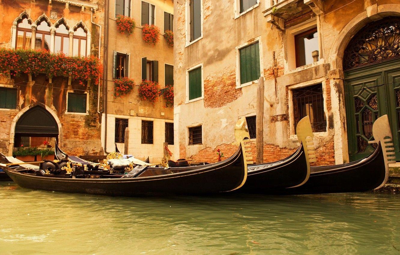 1332x850 Wallpaper water, flowers, Windows, home, Venice, Italy, gondola image for desktop, section город