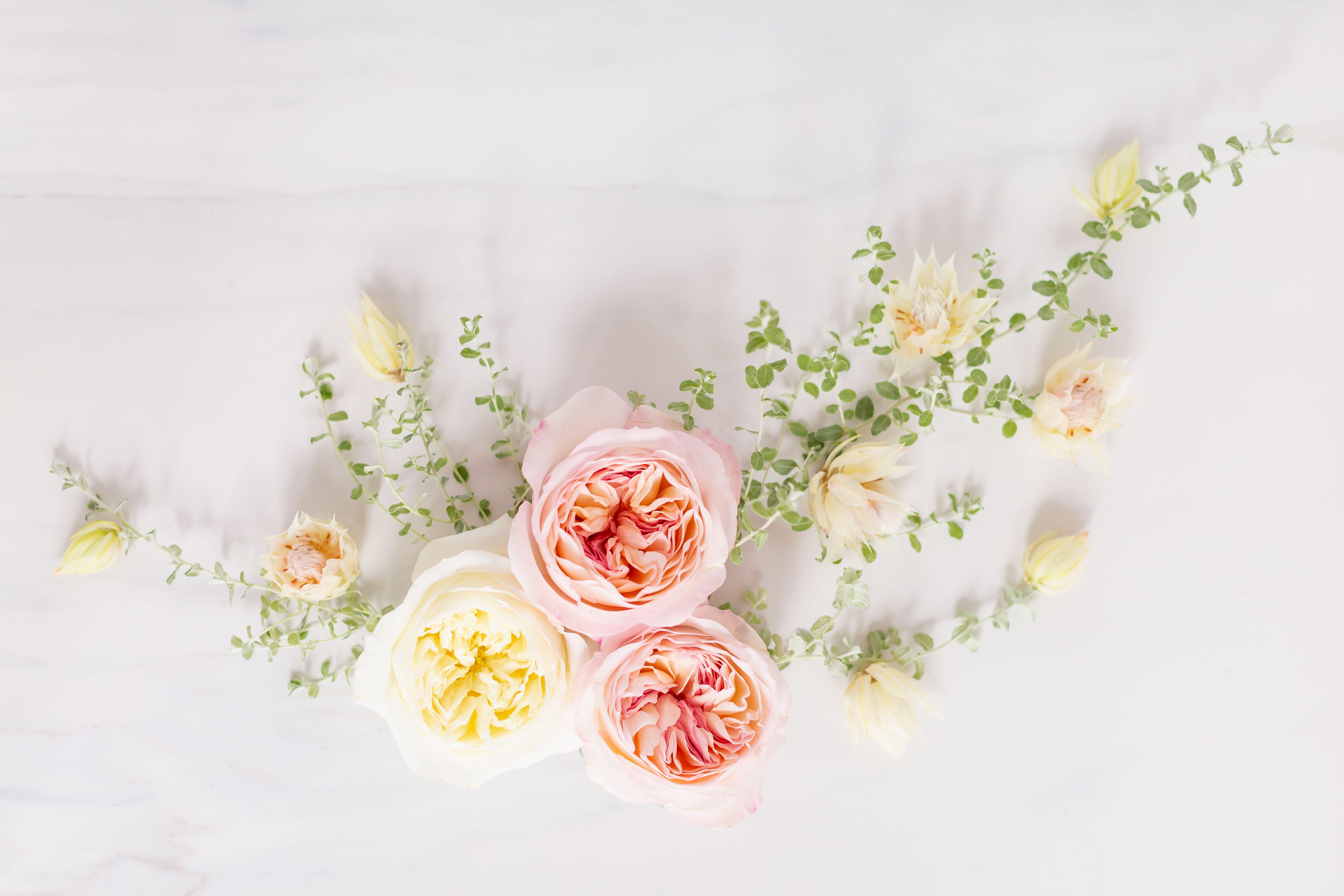 5760x3840 DIGITAL BLOOMS MAY 2019. FREE DESKTOP WALLPAPER