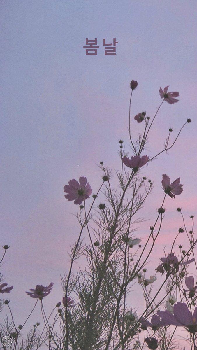 676x1200 Embedded. Bts spring day wallpaper, Aesthetic desktop wallpaper, Aesthetic wallpaper