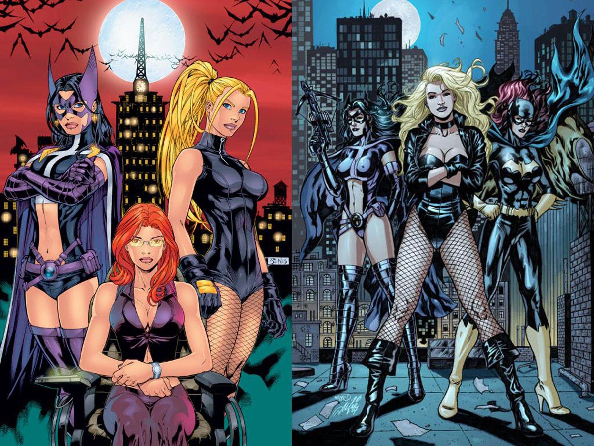 1920x1440 dc comics black canary batgirl huntress birds of prey 1920x1440 wallpaper