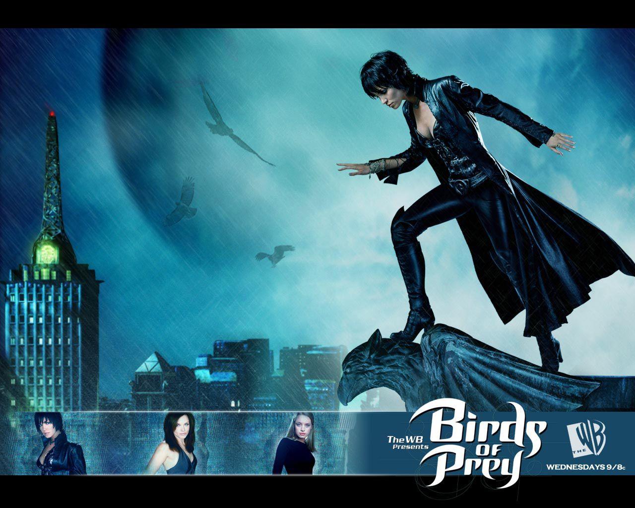 1280x1024 Birds Of Prey Poster HD Wallpaper
