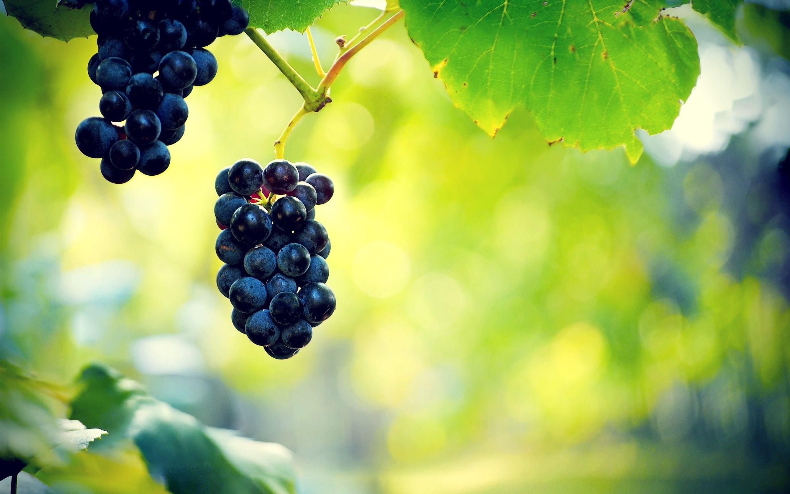 Food Grapes 4k Ultra HD Wallpaper