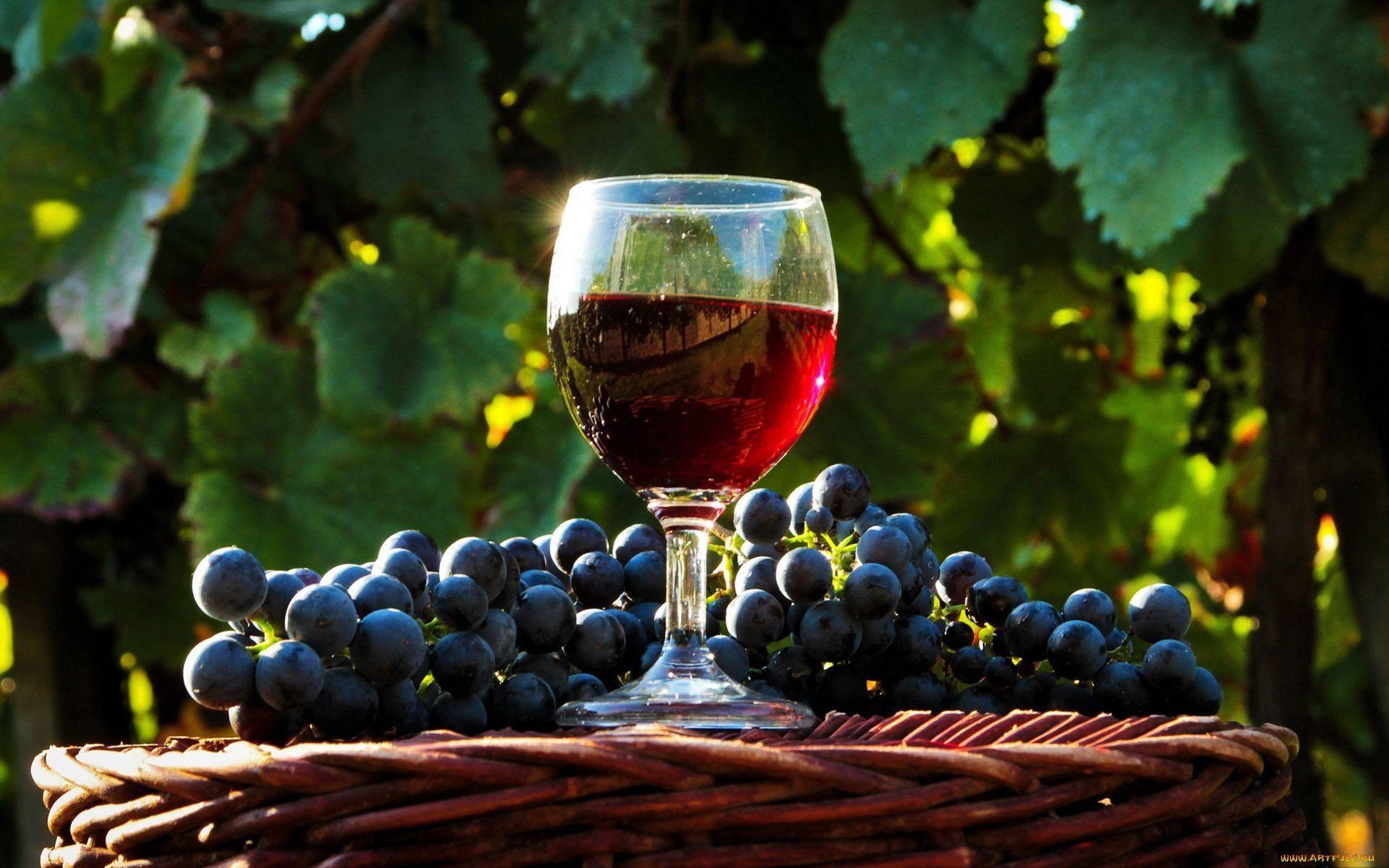 1920x1200 High Resolution Wine HD Wallpaper Id