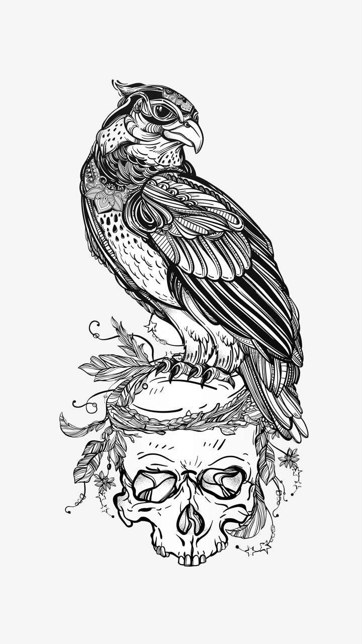 720x1280 Falcon wallpaper
