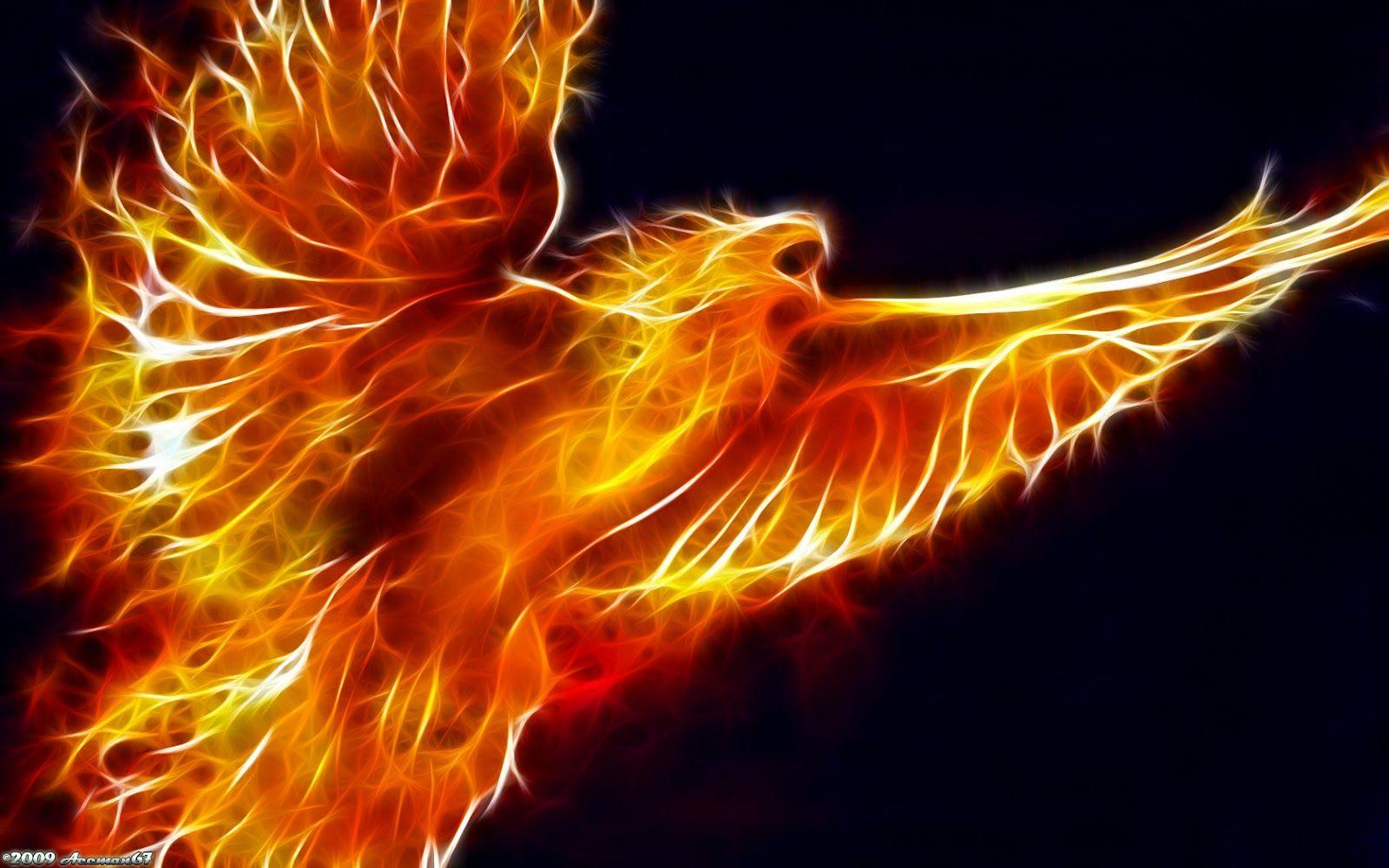 1600x1000 Free download Wallpaper HD Desktop Wallpaper Online Fire Wallpaper Sequel [1600x1000] for your Desktop, Mobile & Tablet. Explore Cool Kindle Fire HD Wallpaper. Wallpaper for Kindle Fire Kindle