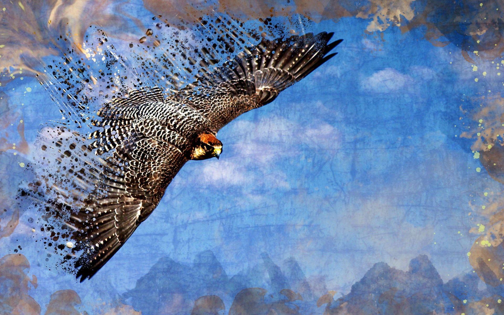 1920x1200 falcon HD 1920x1200