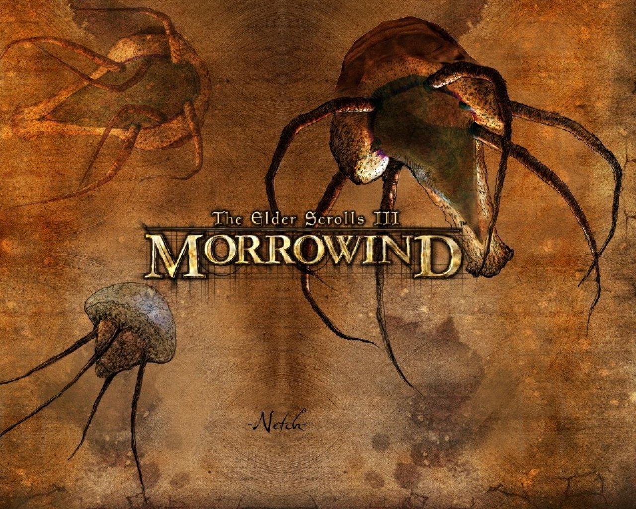 1280x1024 Morrowind wallpaper HD for desktop background