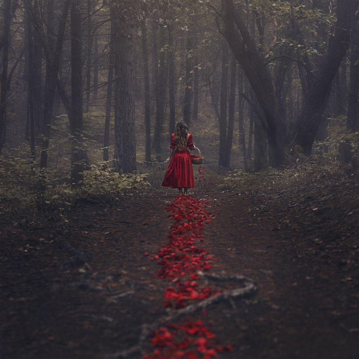 1200x1200 Dark Fairy Tale Wallpaper .