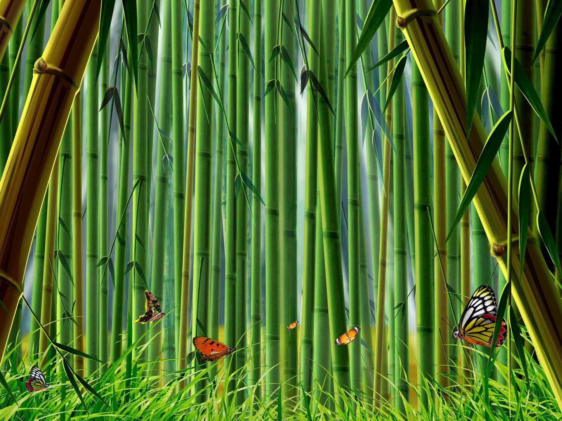 1920x1440 bamboo forest cartoon background