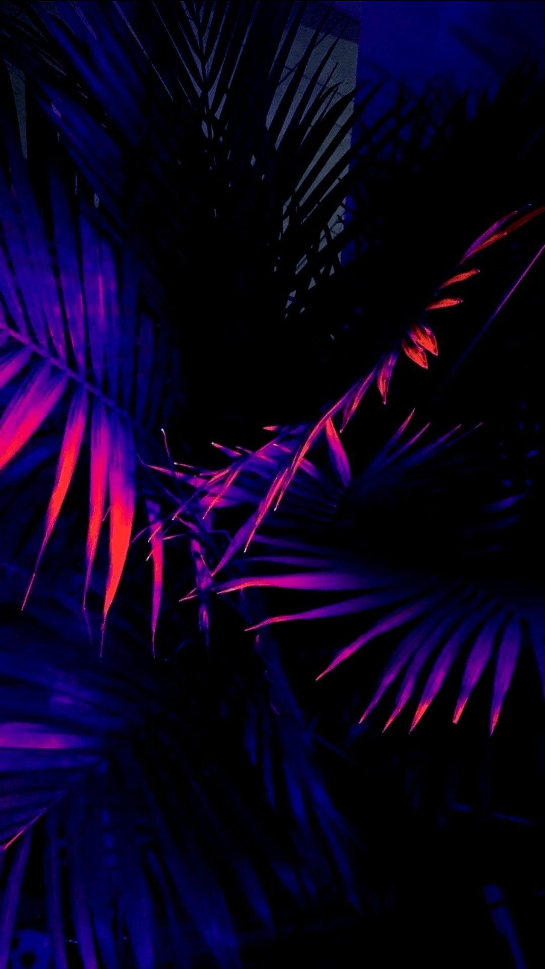 1080x1920 Neon Purple iPhone Wallpaper in HD Cute iPhone Wallpaper