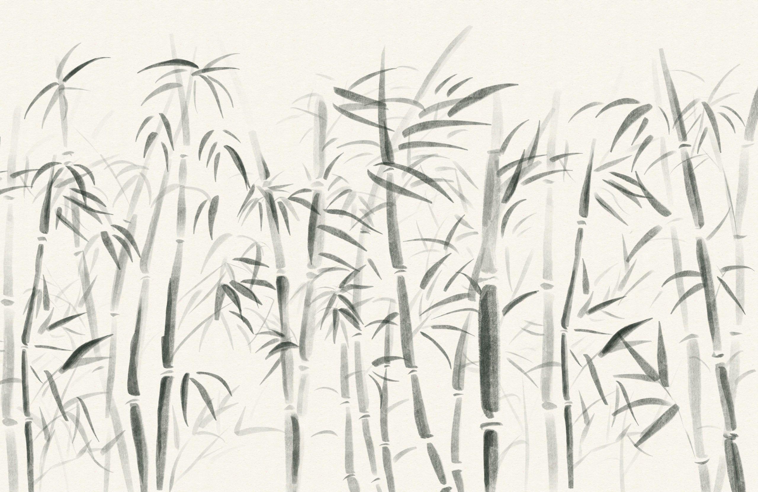 Black Bamboo Wallpapers - Top Free Black Bamboo Backgrounds