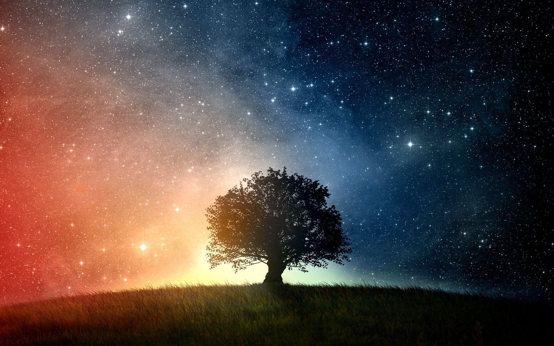 Trees and Stars Wallpapers - Top Free Trees and Stars Backgrounds -  WallpaperAccess