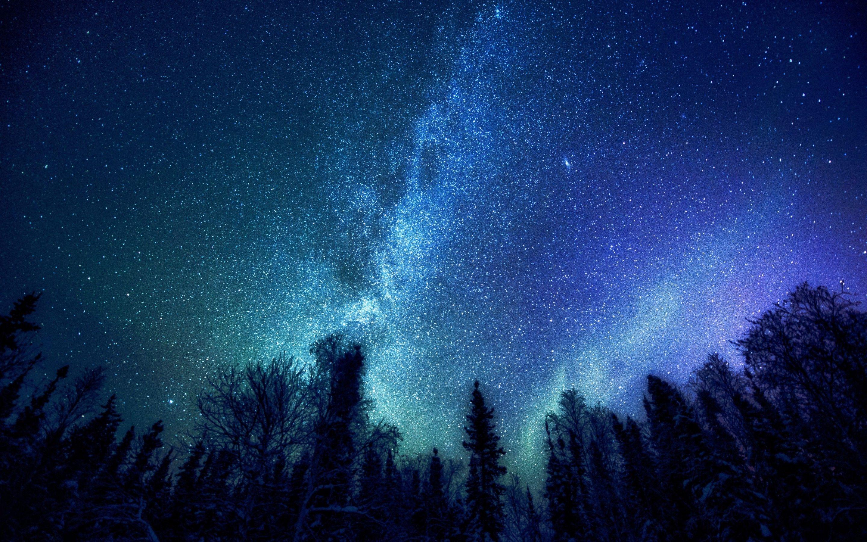 2880x1800 trees, Nature, Stars, Milky Way Wallpaper HD / Desktop and Mobile Background