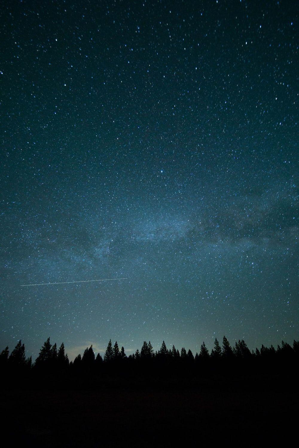 1000x1500 trees under blue sky and stars during nighttime photo photo