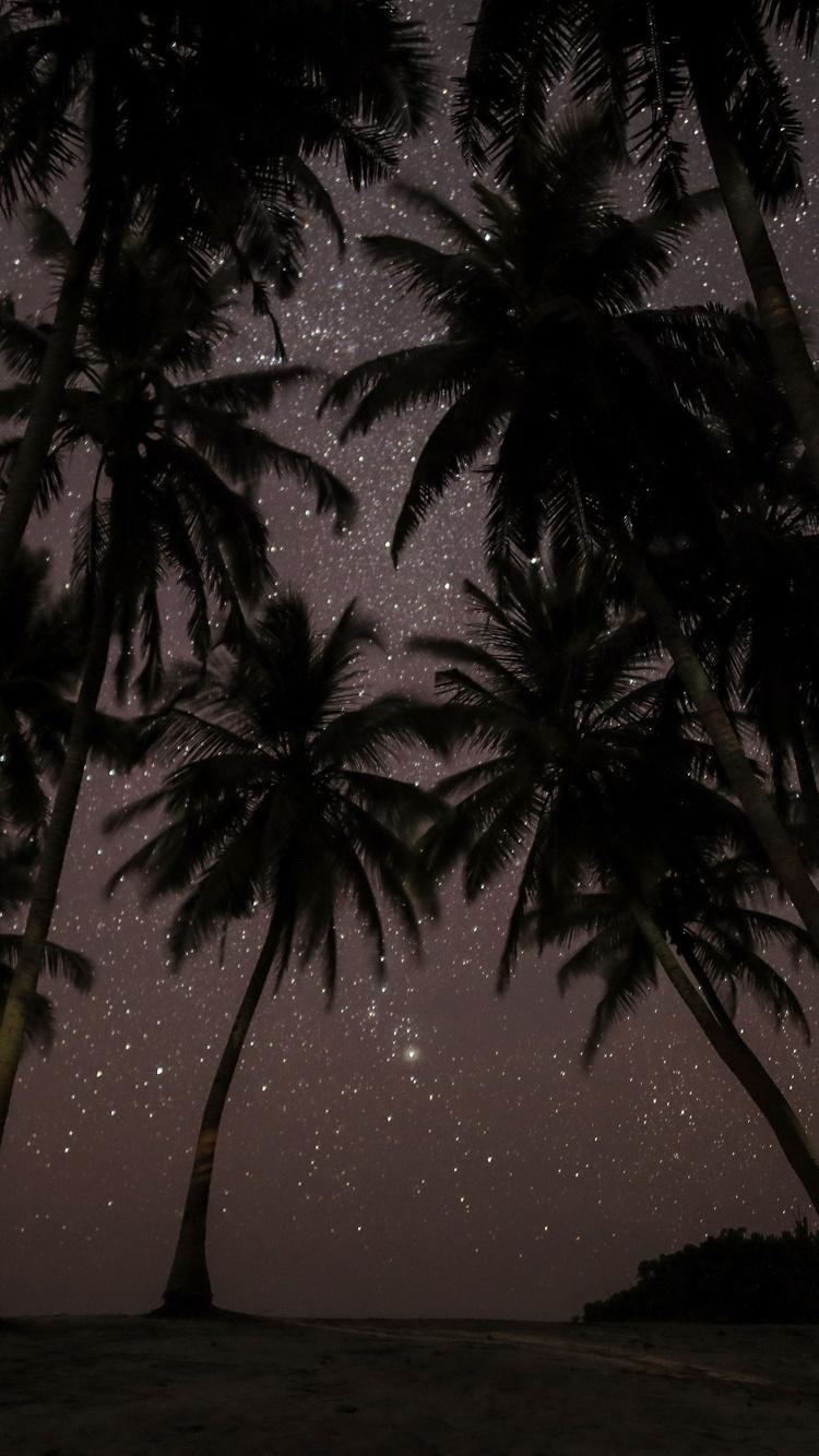 750x1334 Palm Stars. Night sky wallpaper, Wallpaper iphone summer, Starry night wallpaper