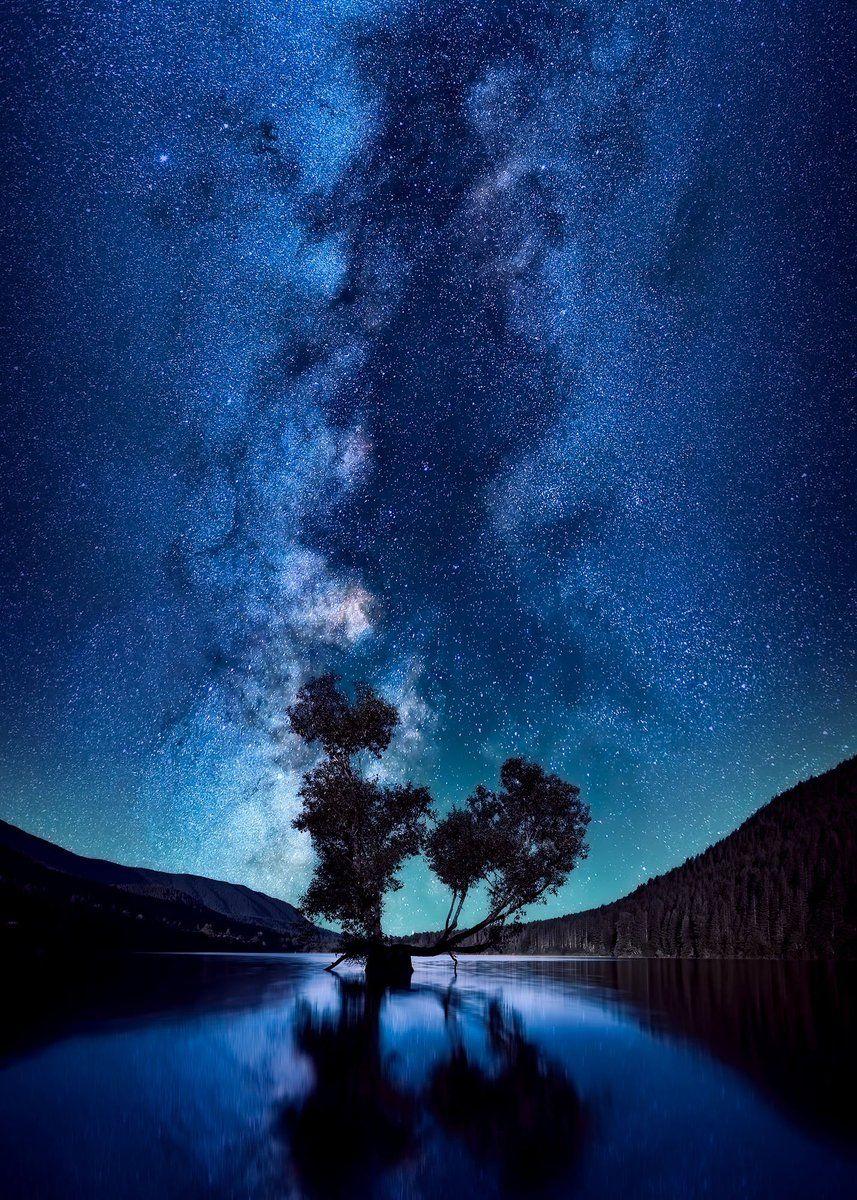 857x1200 HD Wallpaper by David Mark Android-> iPhone-> #blue #night #trees #stars #wallpaper #HDWallpaper