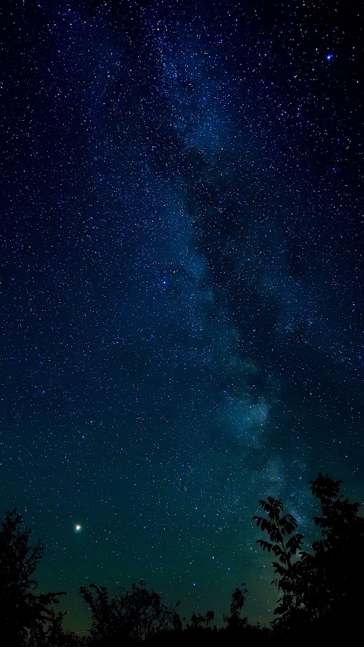 1440x2560 Wallpaper Starry Sky, Night, Stars, Trees, Night Sky Night Sky Background