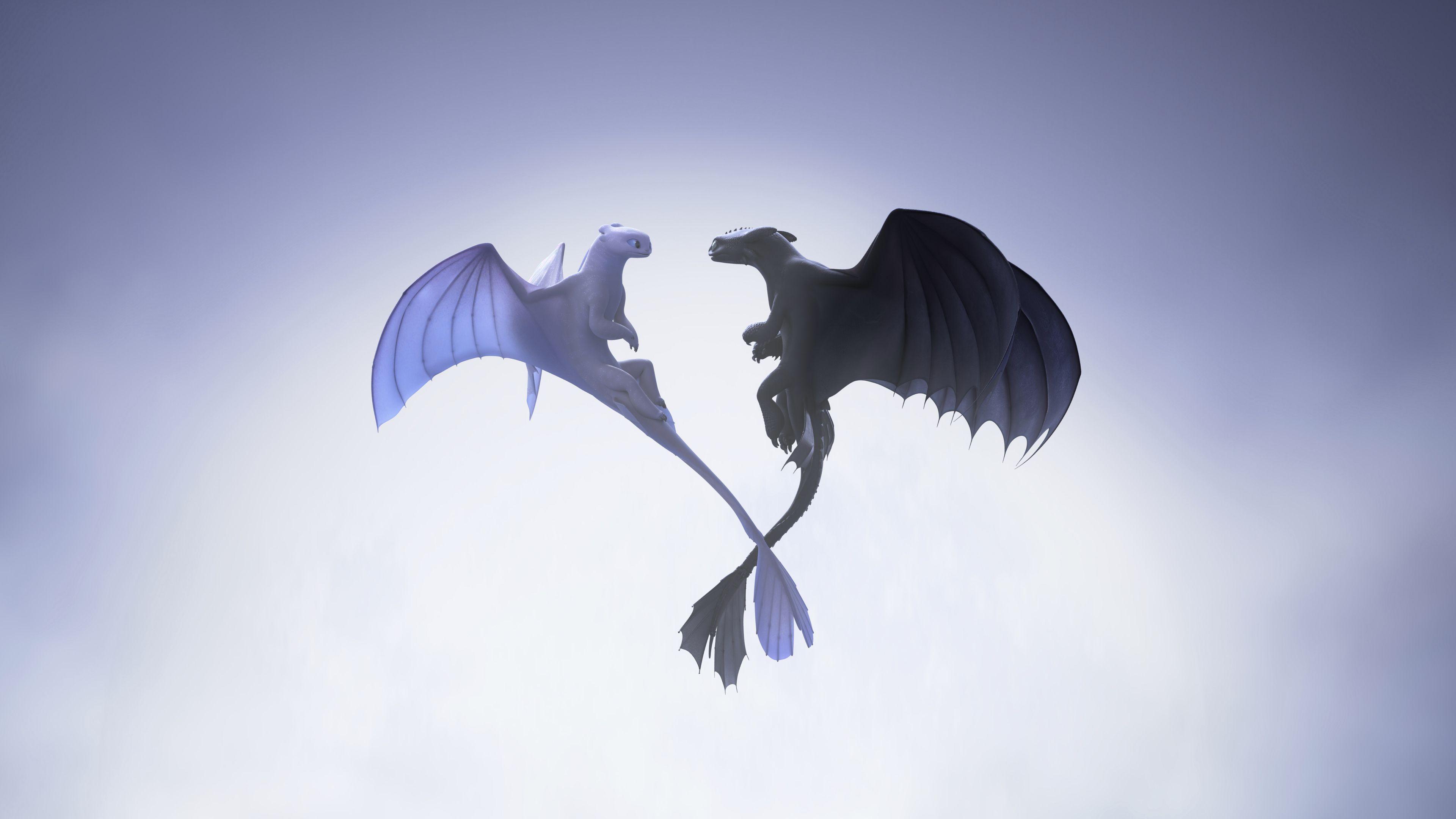 3840x2160 Wallpaper 4k Night And Light Fury 4k 2019 Movies Wallpaper, Artist Wallpaper, Artwork Wallpaper, Digital Art Wallpaper, Dragon Wallpaper, Hd Wallpaper, How To Train Your Dragon The Hidden World Wallpaper, Light Fury Wallpaper
