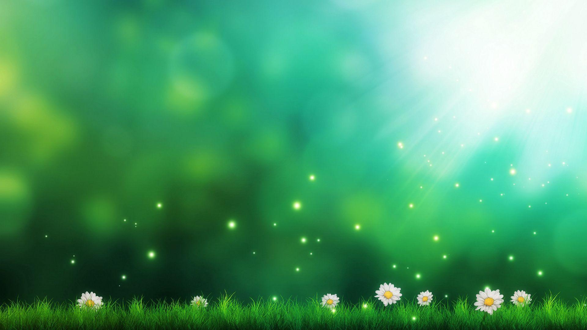 1920x1080 Grass, Daisies, Light, Art PC Wallpaper Free Download