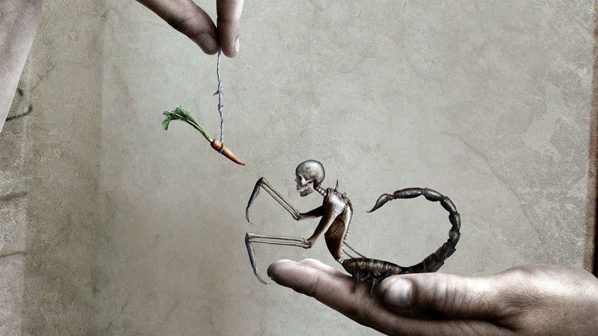 1920x1080 Creepy Scorpio HD Wallpaperx1080