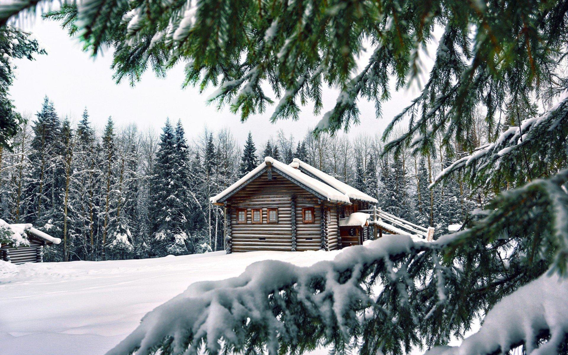 1920x1200 Winter Forest House Wallpaper