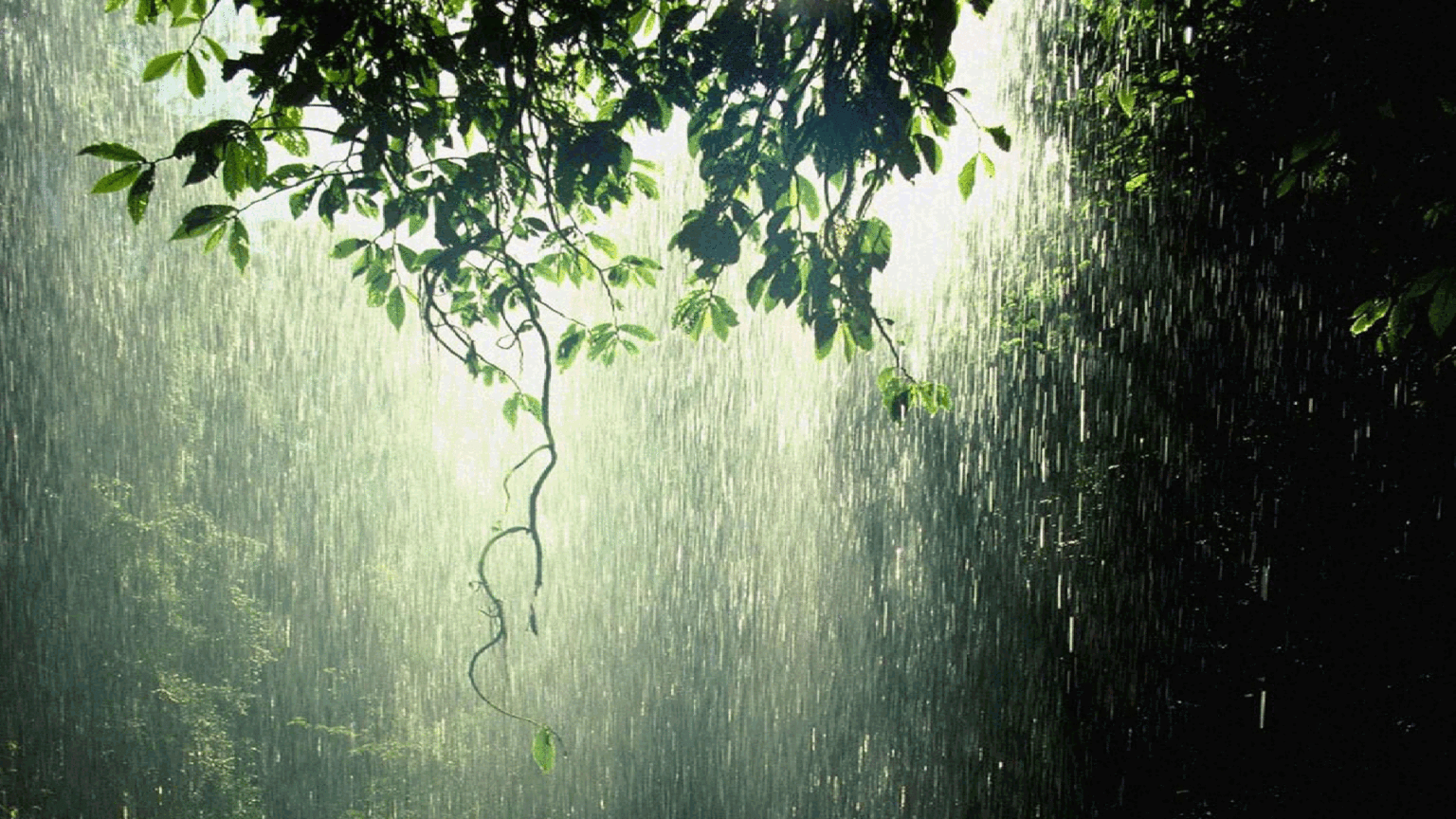1536x864 Rain Wallpaper