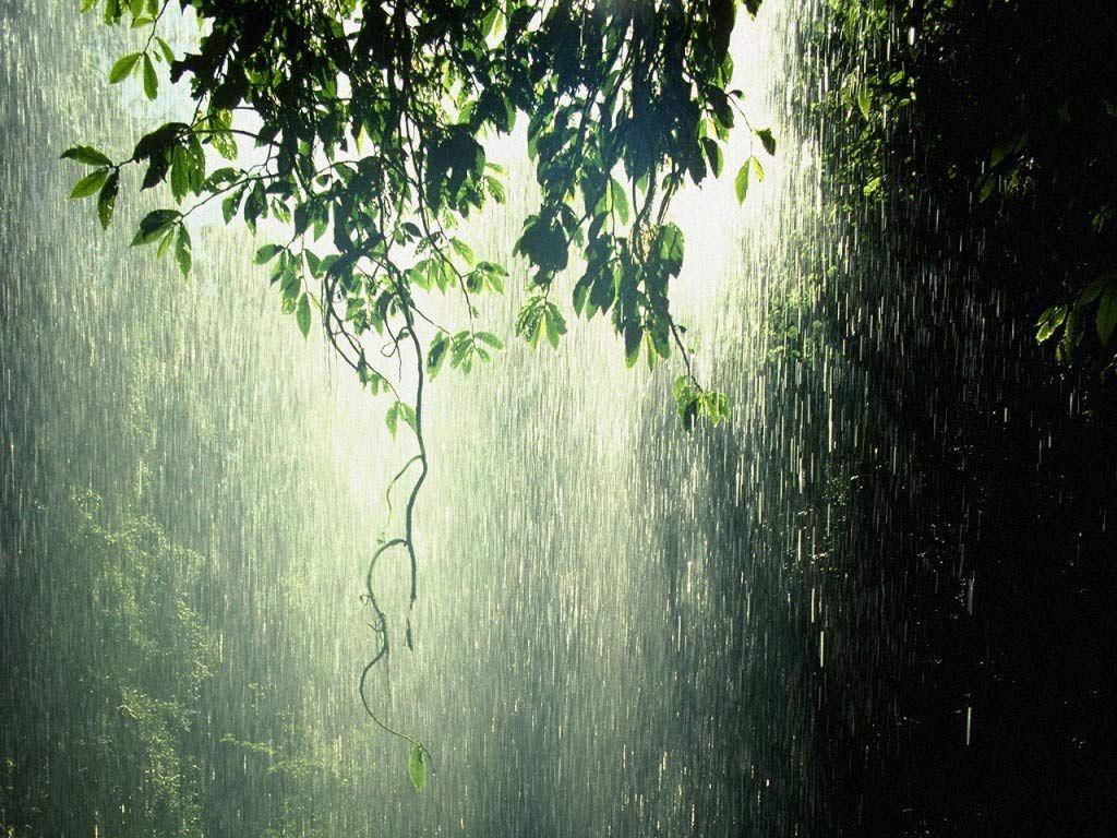 1024x768 Kiss the Rain is a song composed by Yiruma, on the piano of course. Description from wn.com. I searched for this on. Rain wallpaper, Rain photography, Rain photo