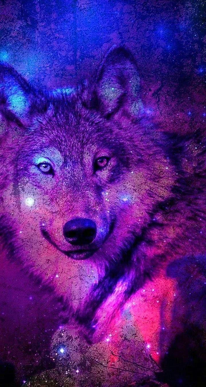 Purple Wolves Wallpapers - Top Free Purple Wolves Backgrounds ...