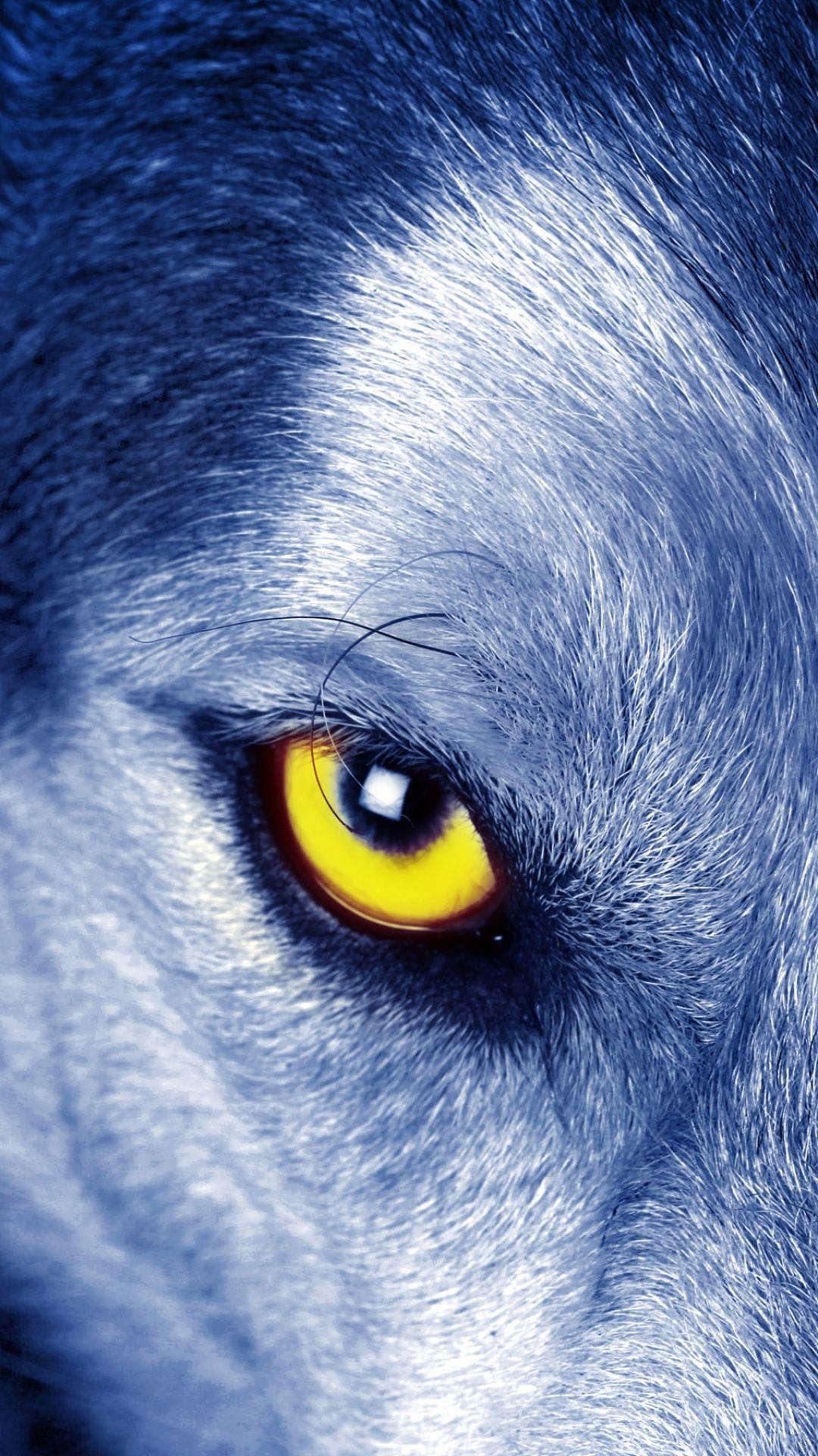 1080x1920 Wolf Eyes Wallpaper iPhone