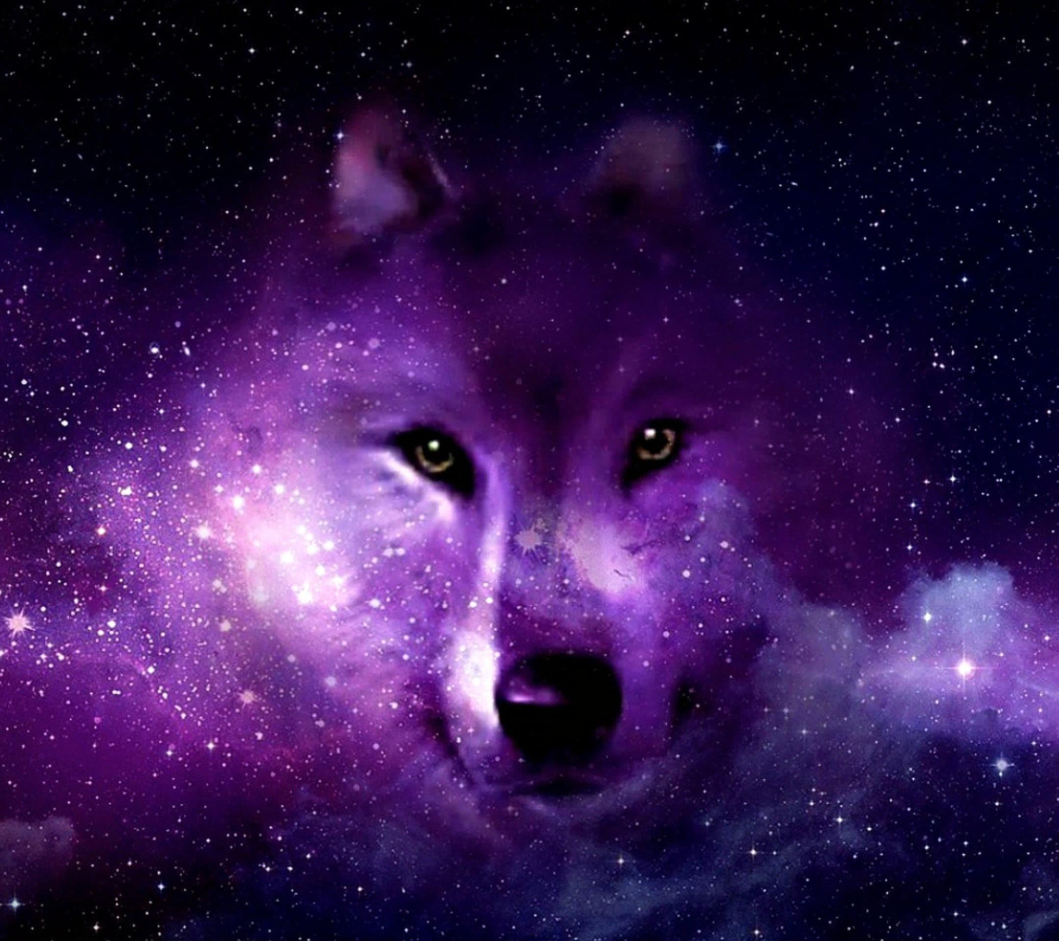 Purple Wolves Wallpapers - Top Free Purple Wolves Backgrounds ...