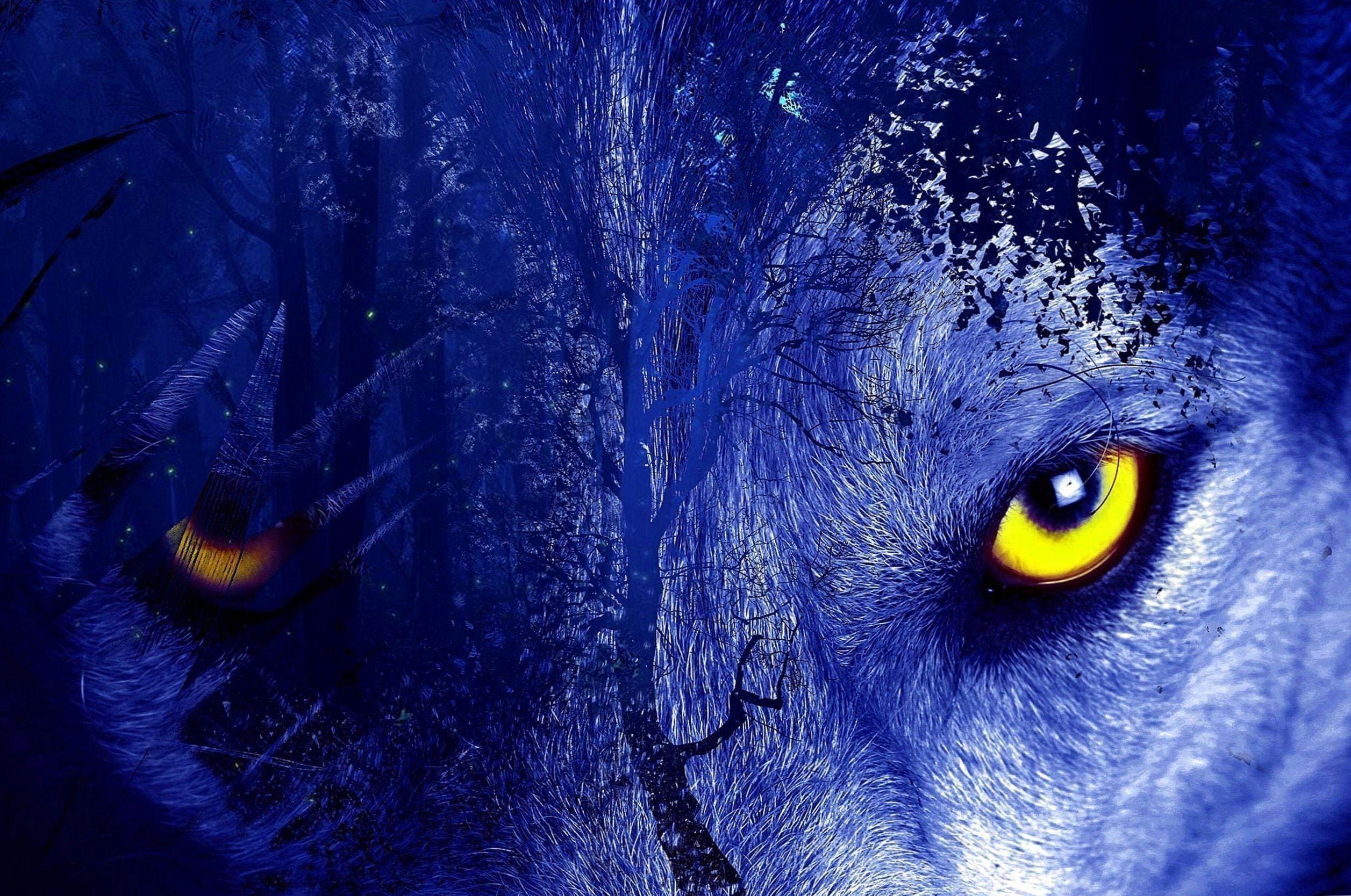 2513x1668 Download 2560×1700 Wolf Eyes Forest Artistic Wallpaper Wolf Wallpaper.pro Wallpaper