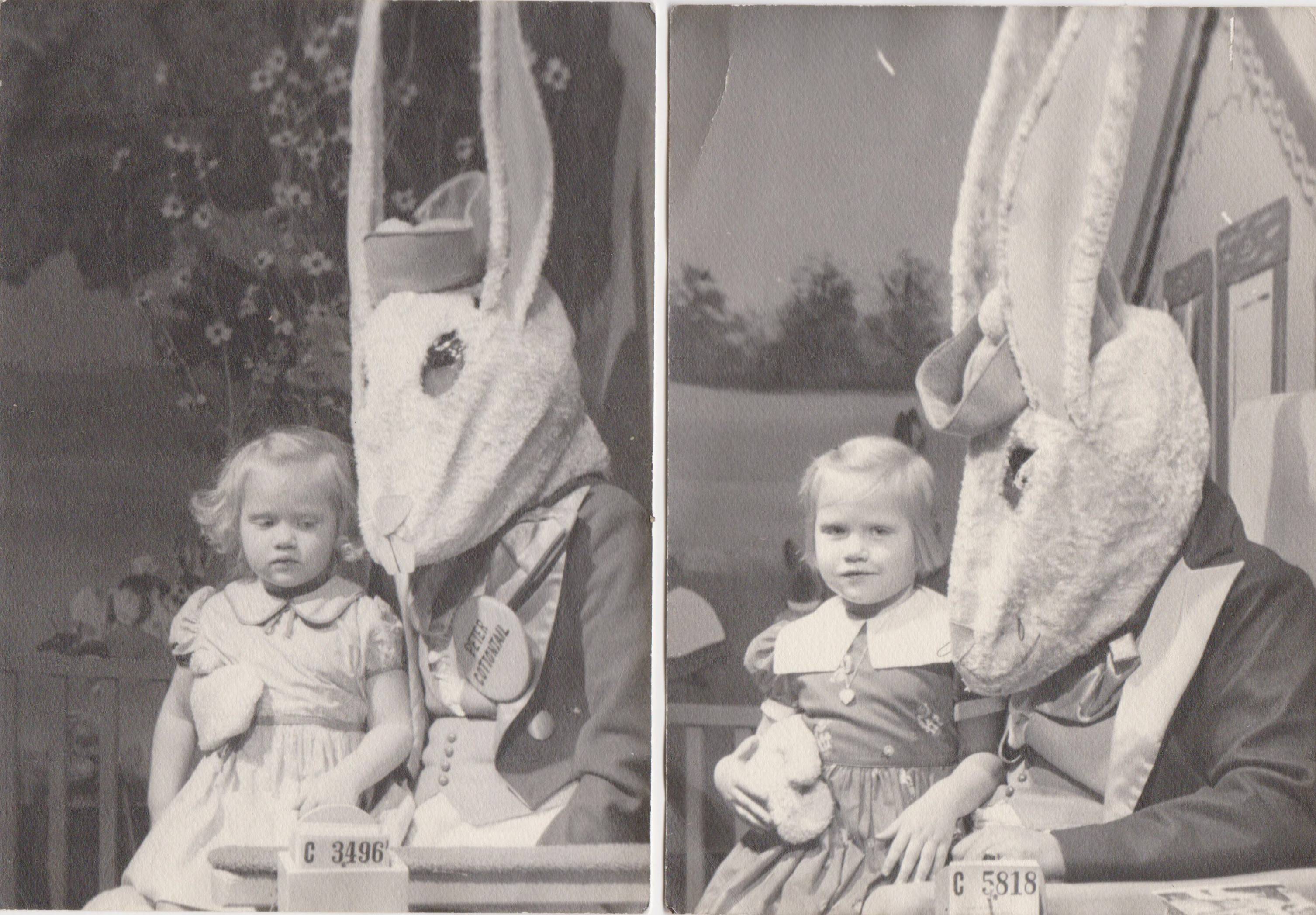 3013x2095 Funny Easter Bunny Photo .