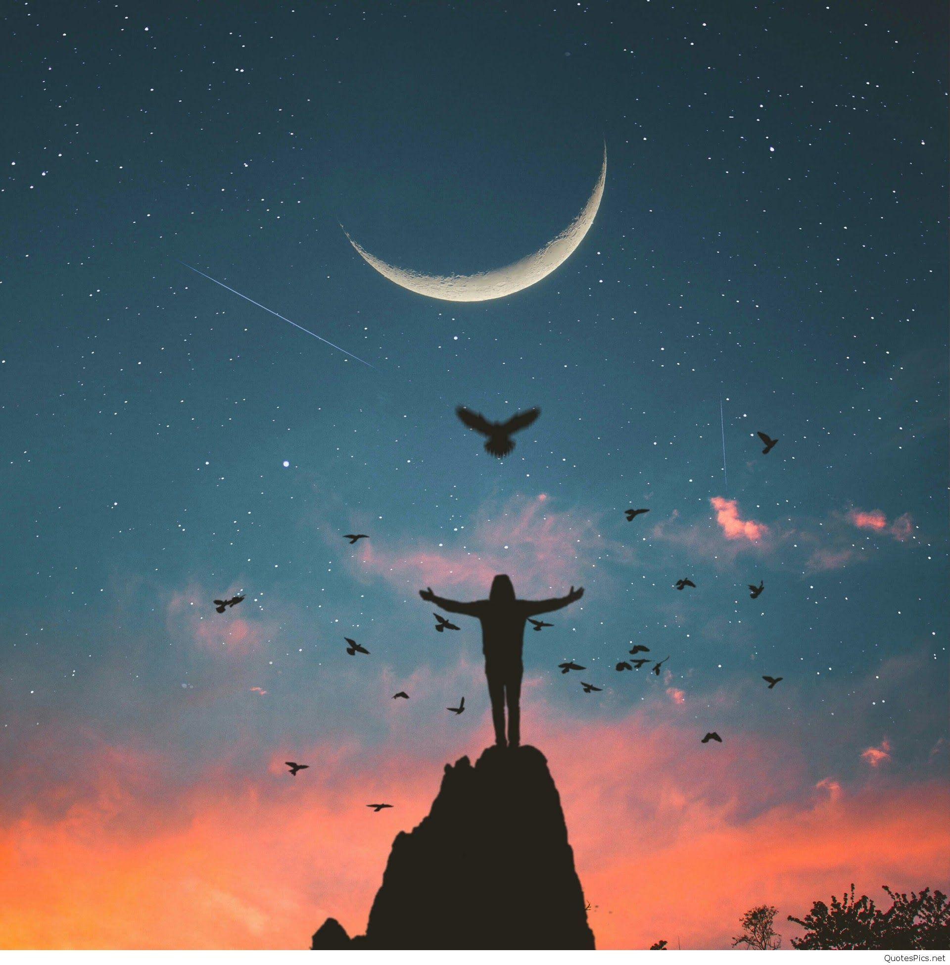 1920x1950 Dream Night Live Wallpaper HD Wallpaper