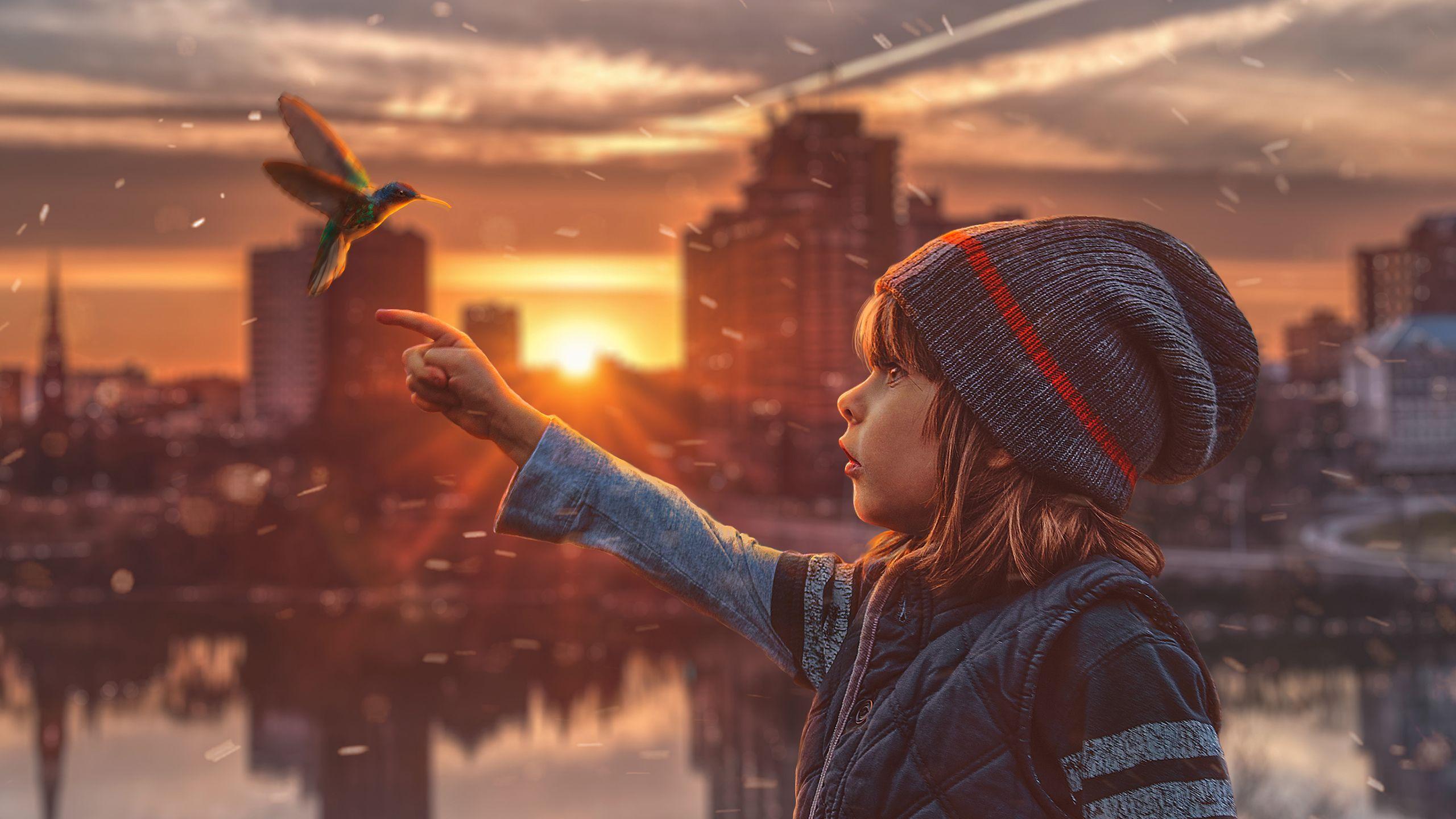 2560x1440 Hummingbird Child Dream Wallpaper