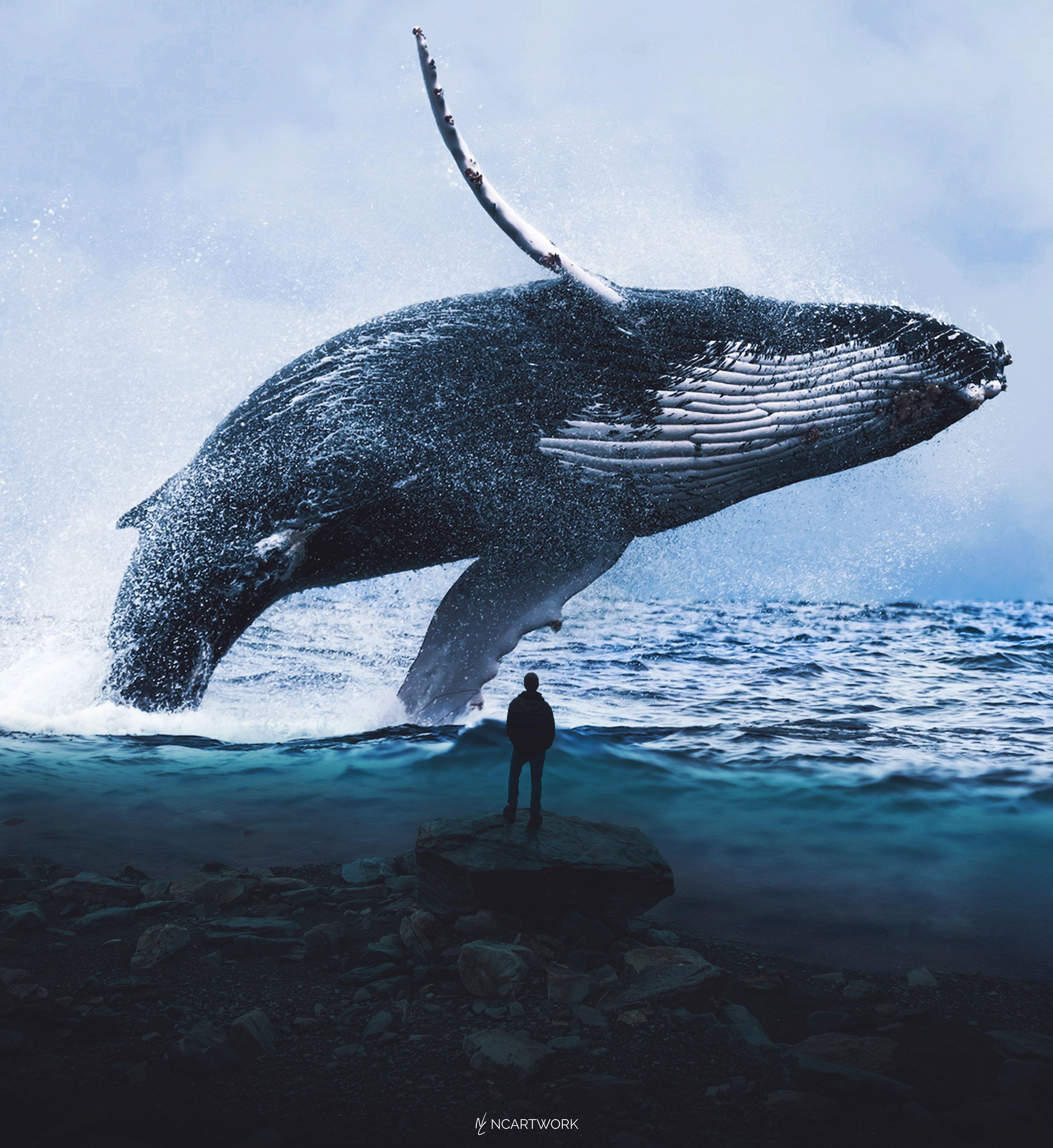 3840x4188 Blue Whale #Man #Dream #Water K K #wallpaper #hdwallpaper #desktop. Whale, HD cool wallpaper, Blue whale