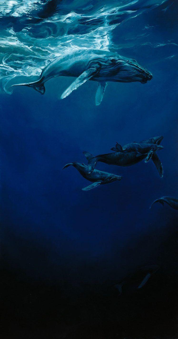 748x1419 Whales HD Wallpaper