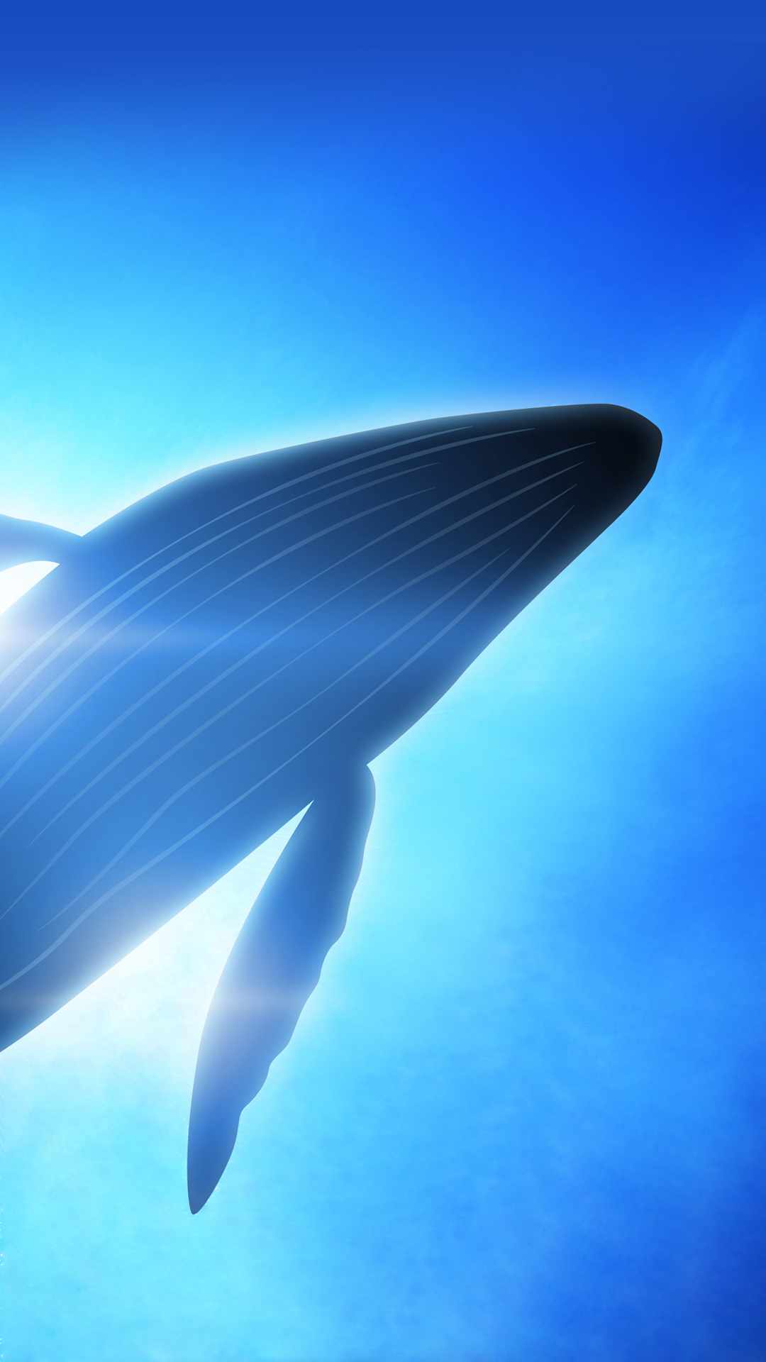 1080x1920 Whale