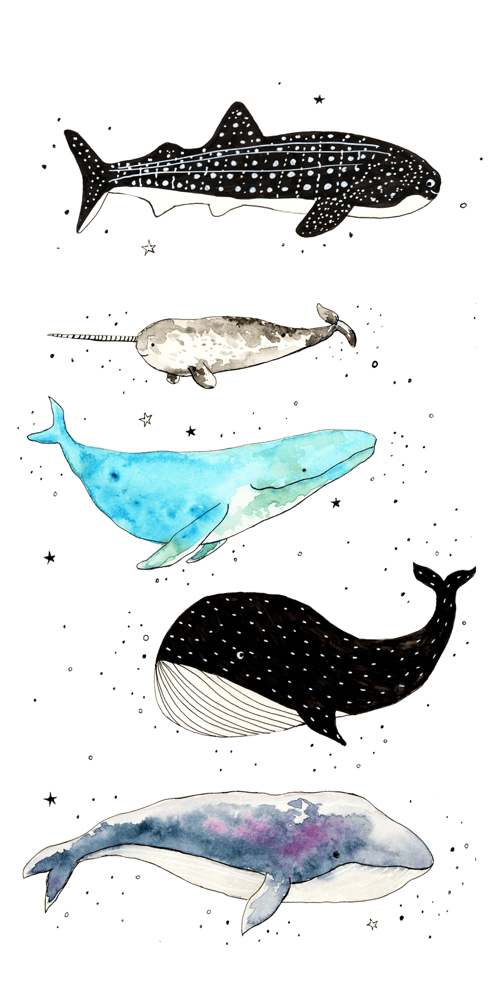 1000x2000 Cute Whale Wallpaper