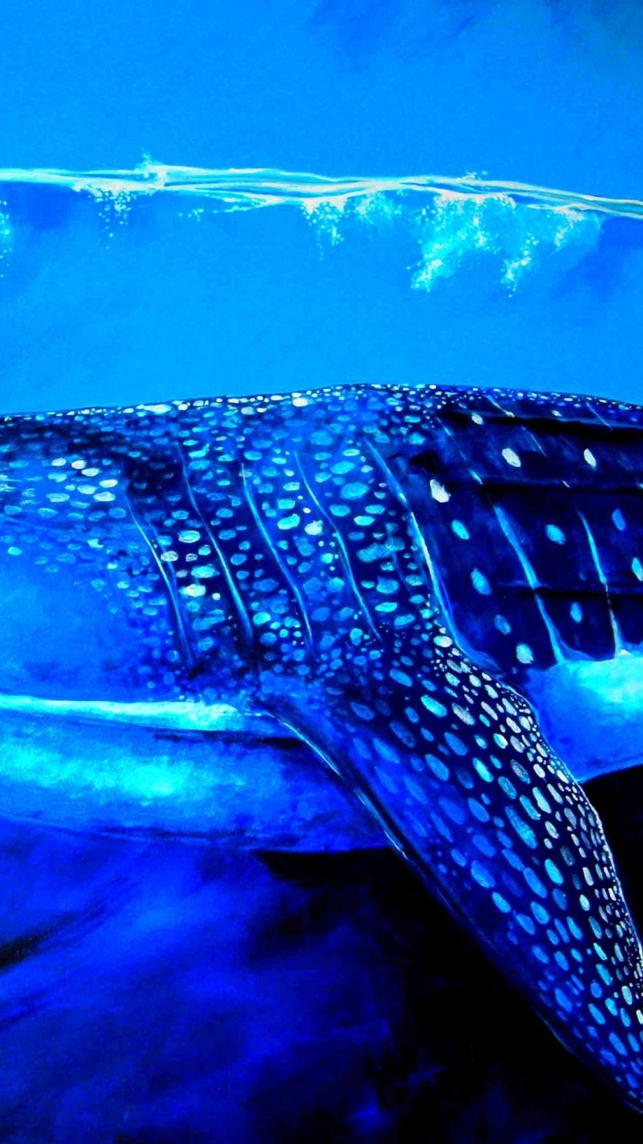 938x1668 Whale Shark Wallpaper HD iPhone