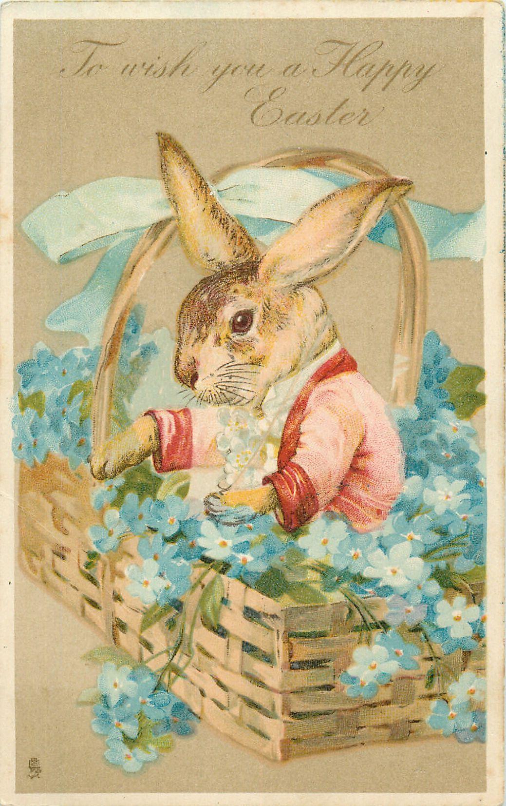 1039x1653 TO WISH YOU A HAPPY EASTER Dressed Rabbit In Basket Of Forget Me Nots. Vintage Easter Cards, Vintage Easter Postcards, Easter Wallpaper